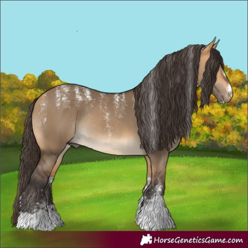 Horse Color:Powder White Brown Dun Rabicano 
