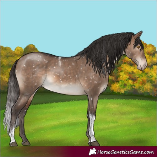 Horse Color:Brown Dun Tobiano Snowflake Varnish