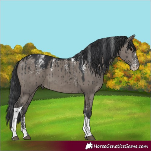 Horse Color:Powder White Grullo Mushroom Tobiano Brindle 