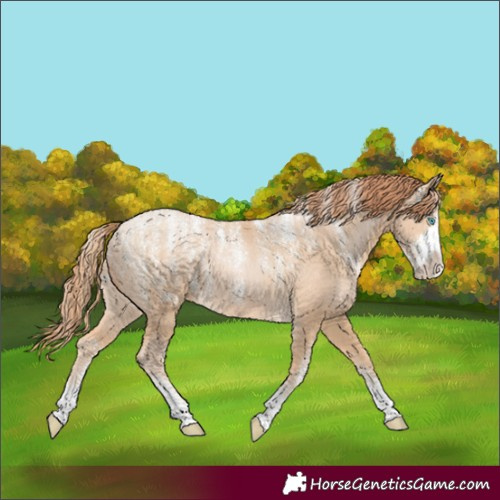Horse Color:Powder White Buckskin Snowdrop 