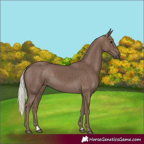 Horse Color:Silver Black 
