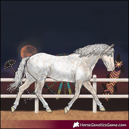Horse Color:Silver Amber Cream Champagne Pearl Tobiano Blanket Rabicano 