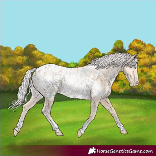 Horse Color:Silver Amber Cream Champagne Pearl Tobiano Appaloosa Rabicano