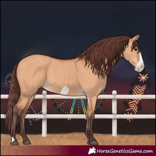 Horse Color:Chocolate Bay Dun Frame