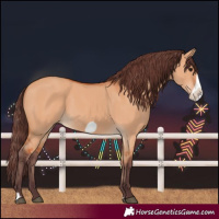 Horse Color:Chocolate Bay Dun Frame 