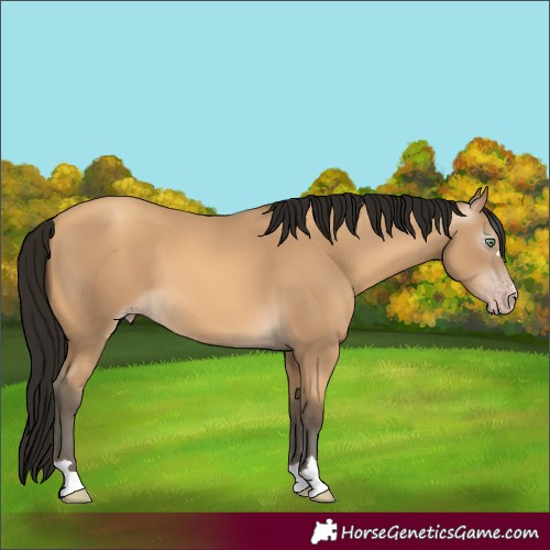 Horse Color:Gray Amber Cream Champagne 