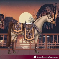 Horse Color:Chocolate Bay Dun