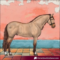 Horse Color:Chocolate Bay Dun 