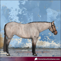 Horse Color:Bay Roan Dun 
