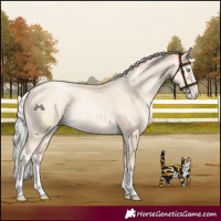 Horse Color:Silver Amber Cream Champagne Pearl 