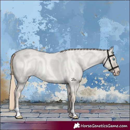 Horse Color:Smoky Creme Roan Dun