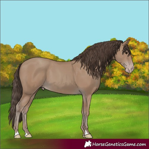 Horse Color:Classic Champagne 