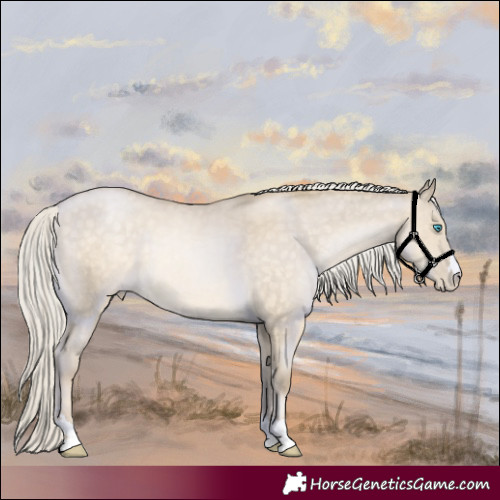 Horse Color:Silver Buckskin Pearl Dun Rabicano 
