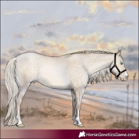 Horse Color:Silver Buckskin Pearl Dun Rabicano 