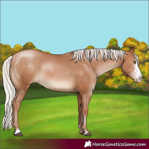 Horse Color:Silver Brown Pearl Sabino