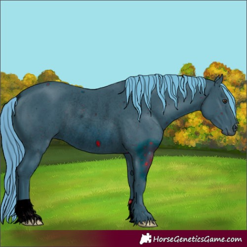 Horse Color:ERROR: UNKNOWN ANOMALY