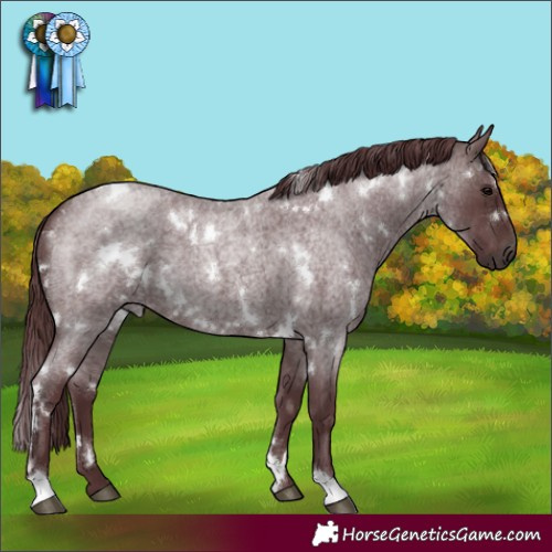 Horse Color:White Spotted Chocolate Brown Roan 