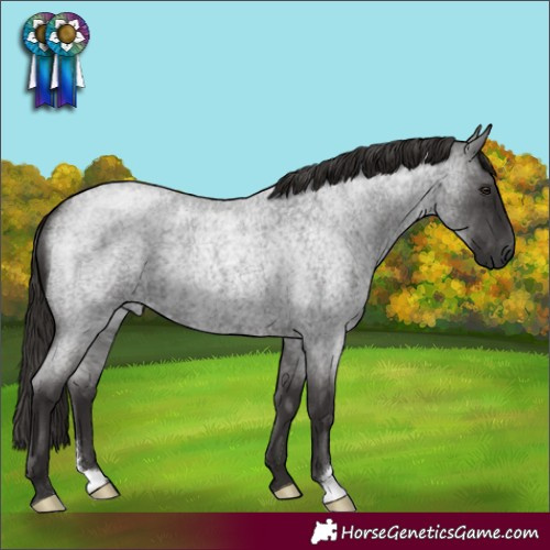 Horse Color:Liver Red Roan 