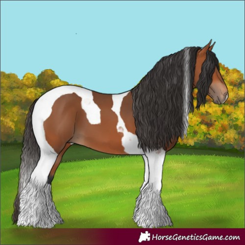 Horse Color:Bay Tobiano 