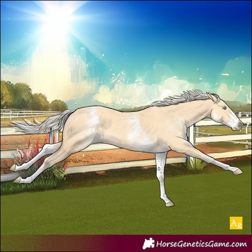 Horse Color:Unknown 