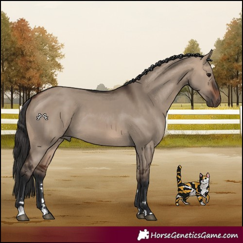 Horse Color:Bay Dun