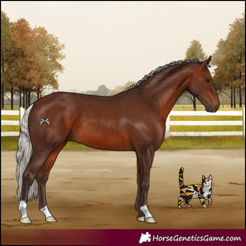Horse Color:Silver Brown