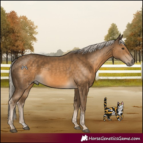 Horse Color:Chocolate Palomino