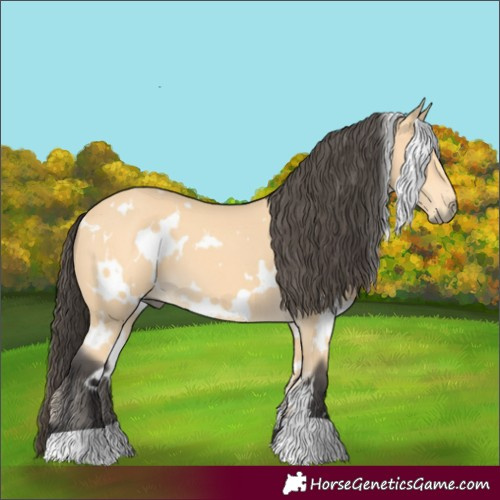 Horse Color:White Spotted Buckskin 