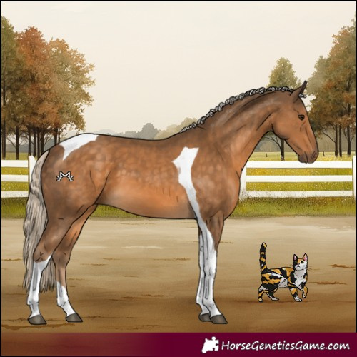Horse Color:Chocolate Palomino Tobiano 