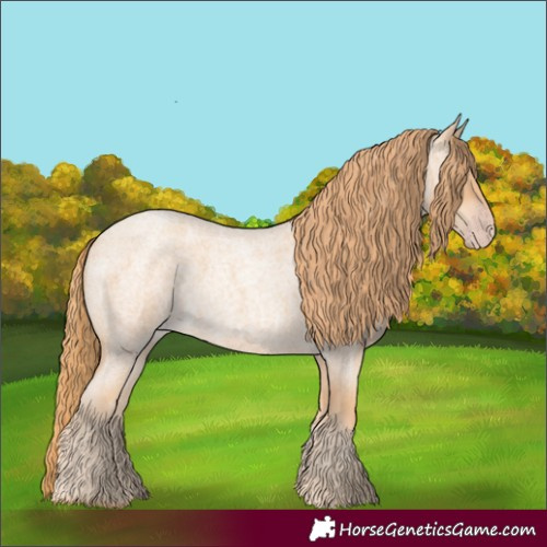 Horse Color:Gold Champagne Roan 