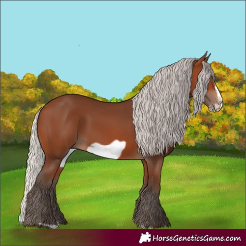 Horse Color:Silver Brown Frame 