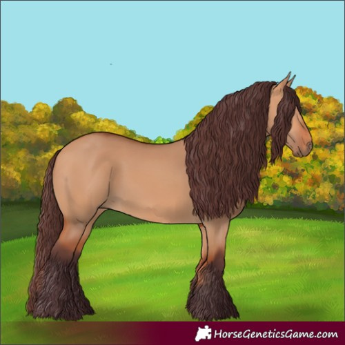 Horse Color:Chocolate Bay Dun 