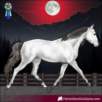 Horse Color:Smoky Grullo Roan Near Fewspot 