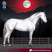 Horse Color:Smoky Grullo Roan Near Fewspot