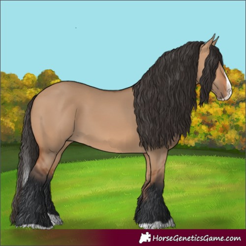 Horse Color:Bay Dun Splash