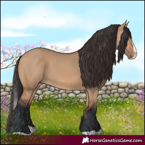 Horse Color:Bay Dun Splash 