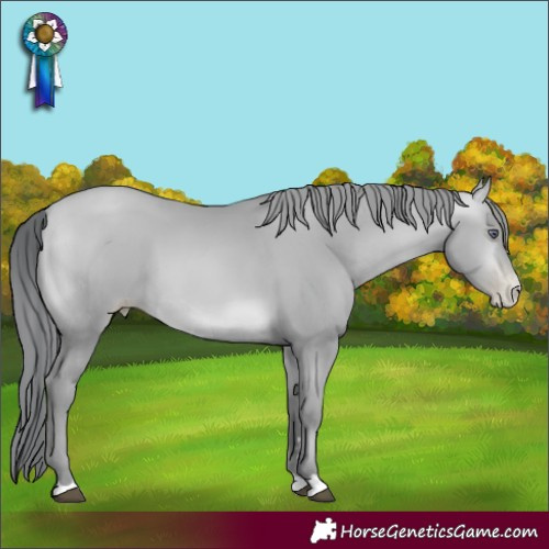 Horse Color:Brown Chinchilla Pearl