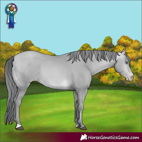 Horse Color:Brown Chinchilla Pearl