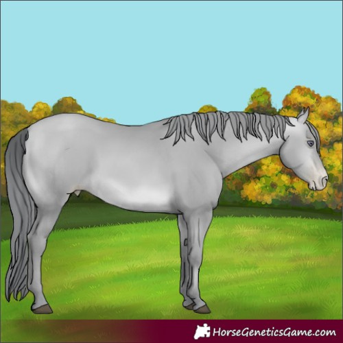 Horse Color:Brown Chinchilla Pearl 