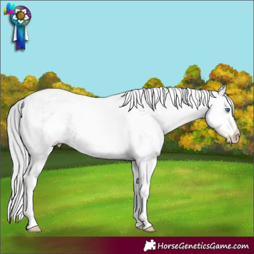 Horse Color:White Spotted Silver Bay Chinchilla Dun