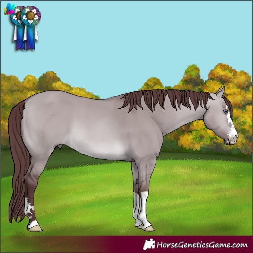 Horse Color:Chocolate Brown Chinchilla Dun