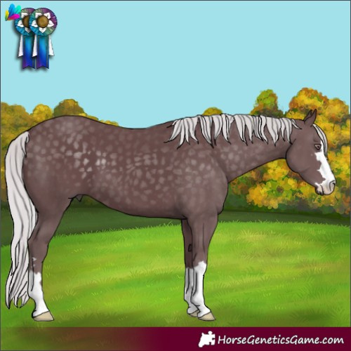 Horse Color:Chocolate Silver Black Chinchilla 