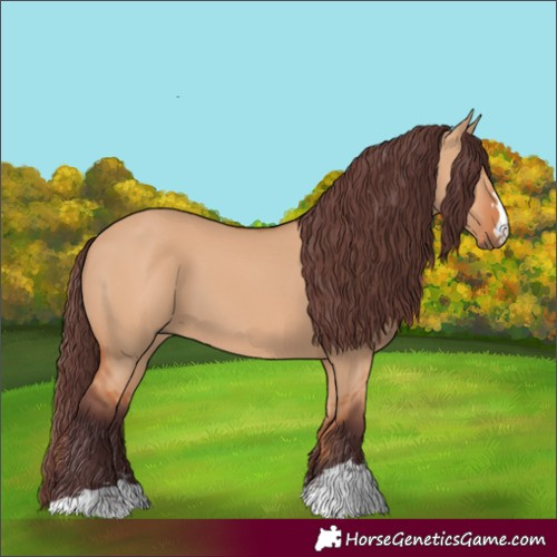 Horse Color:Chocolate Bay Dun