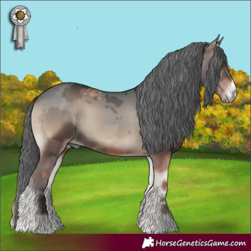 Horse Color:Blue Onyx Merle