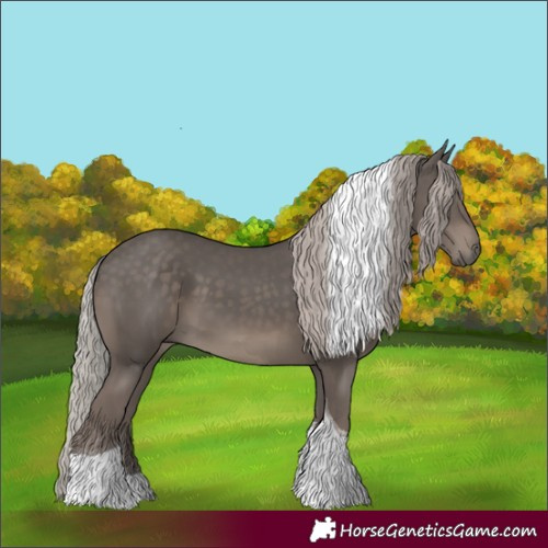 Horse Color:Silver Black Tobiano