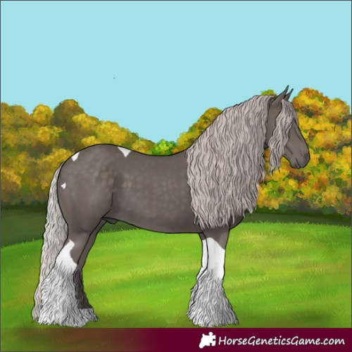 Horse Color:Silver Black Tobiano 