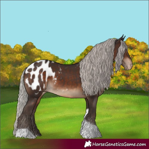 Horse Color:Silver Brown Tobiano Blanket