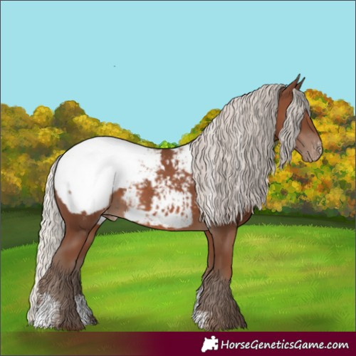 Horse Color:Powder White Silver Black Snowcap