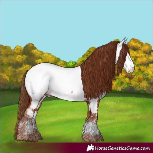Horse Color:Chestnut Near Fewspot
