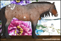 Horse Color:Bay Roan Frame Varnish